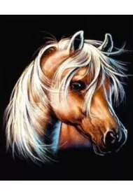 Malowanie po numerach. Koń