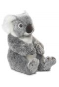 Koala 22 WWF