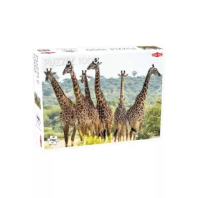 Puzzle 1000 el. Żyrafy