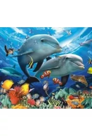 Malowanie po numerach. Delfiny, oceanarium