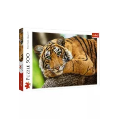 Puzzle 500 el. Portret tygrysa